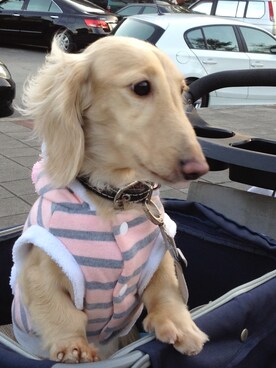 pprriinncceeさんのコーディネート