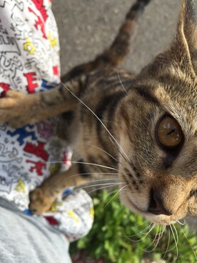 たいちさんのコーディネート