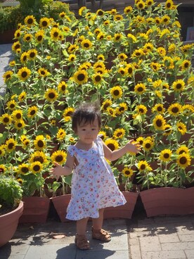 「POOL（プール）のアイテム（その他）」を使った、ゆめさん（キッズ・80cm）の夏コーディネート