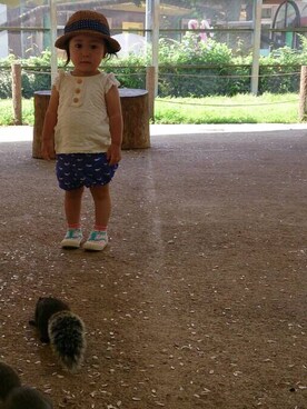 hinaaaaさんのコーディネート