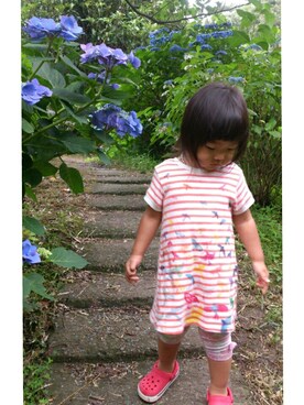 このこのさんのコーディネート