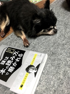 「アイテム（その他）」を使った、SHIROさん（メンズ・170cm・30代）の春コーディネート