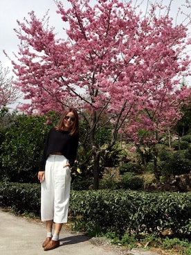 Vera Liuさんのコーディネート