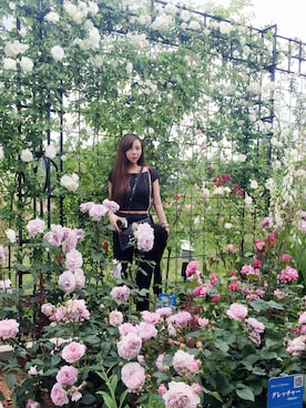 Arrowcさんのコーディネート