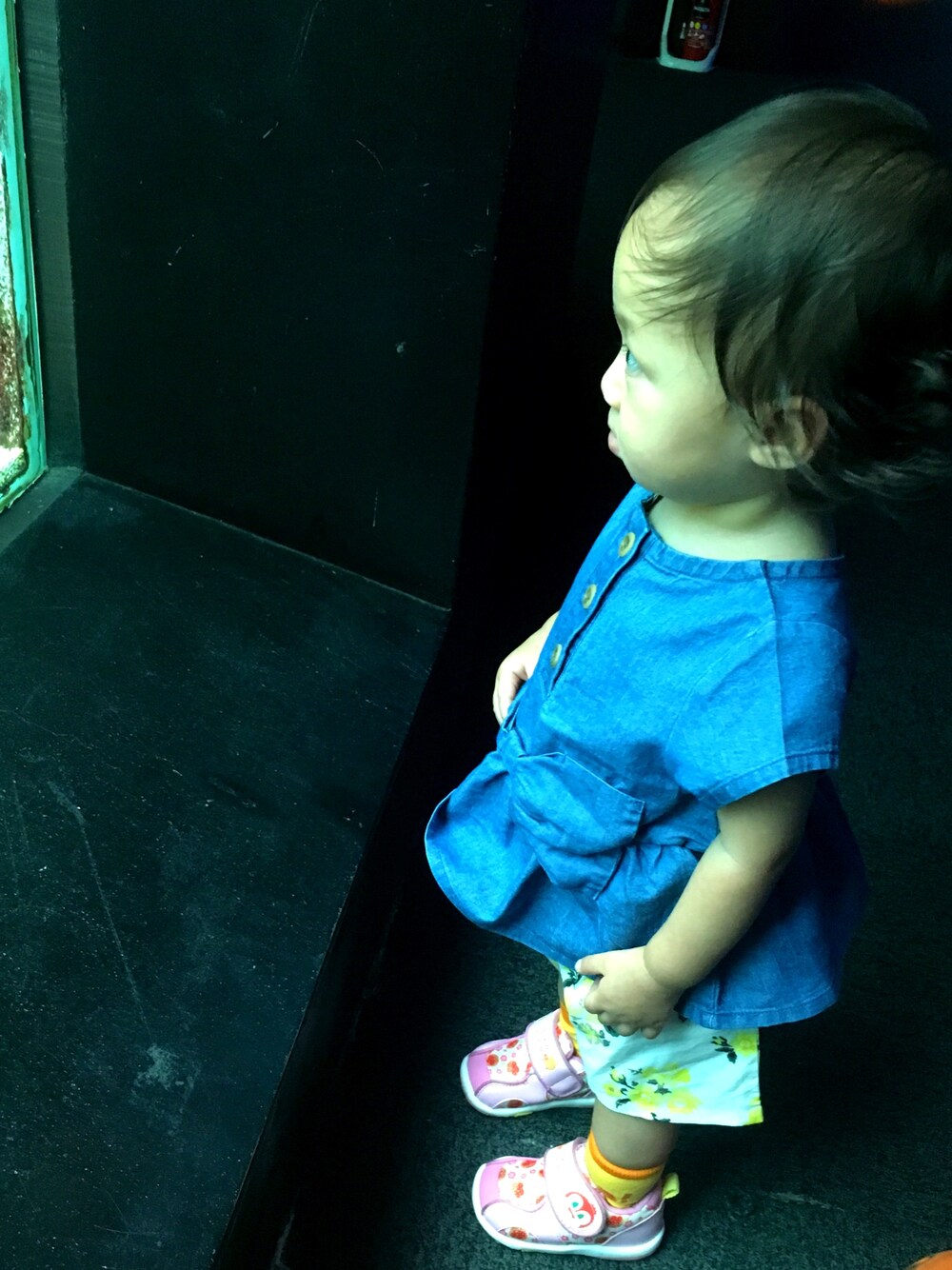 「水族館、女の子」｜「petit mainの後ろリボンモチーフデニムペプラムチュニック（チュニック、ブルー系）」を使った、futabaさん（キッズ・80cm）の秋コーディネートの1枚目の写真