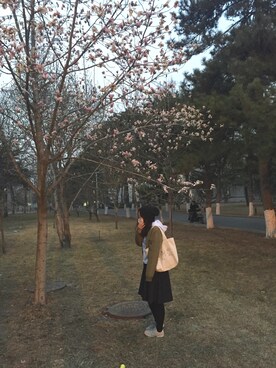 しーちゃんさんのコーディネート