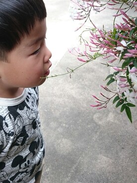 nonchunさんのコーディネート