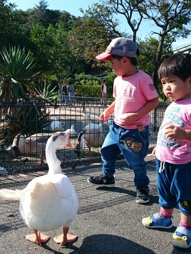 nonchunさんのコーディネート