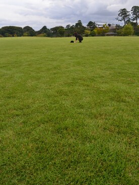 たちょんさん(レディース・160cm)の秋コーディネート