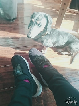 sleepSHIMANOさんのコーディネート