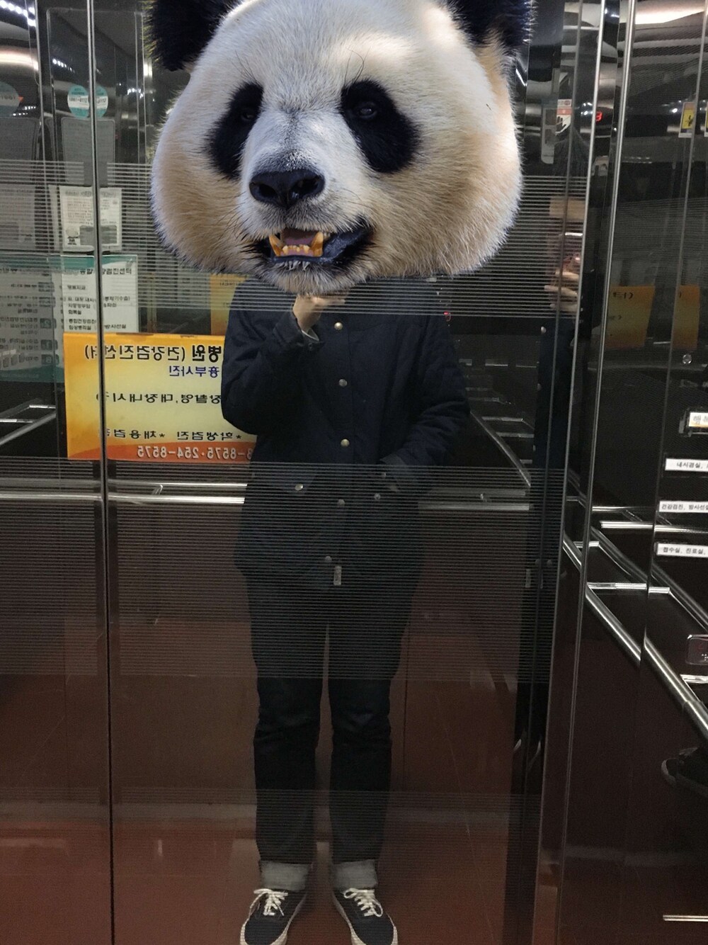 「CarharttのANGLISTIC BEANIE（ニットキャップ/ビーニー、ブラック系）」を使った、이다솜さん（レディース・169cm）の冬コーディネートの1枚目の写真