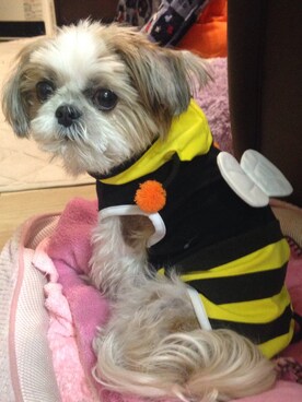 まあや💕さんのコーディネート