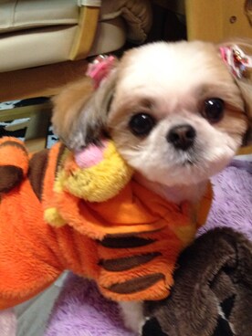 まあや💕さんのコーディネート