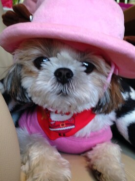 まあや💕さんのコーディネート