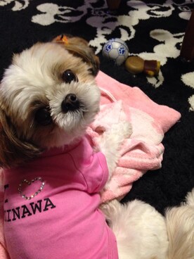 まあや💕さんのコーディネート