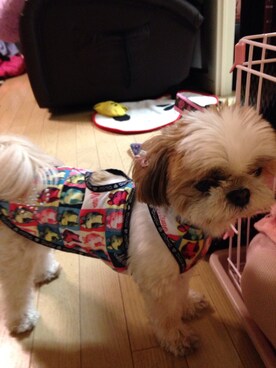 まあや💕さんのコーディネート