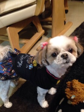 まあや💕さんのコーディネート