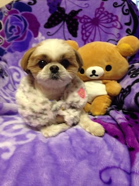 まあや💕さんのコーディネート