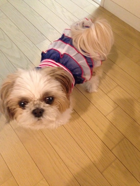 まあや💕さんのコーディネート