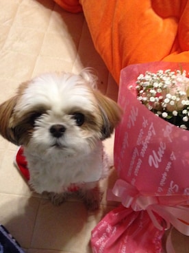 まあや💕さんのコーディネート