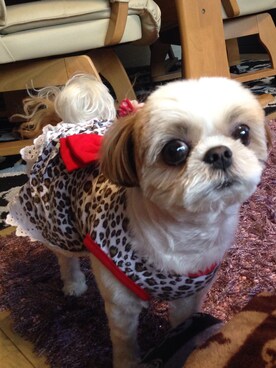 まあや💕さんのコーディネート