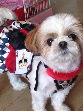 まあや💕さんのコーディネート