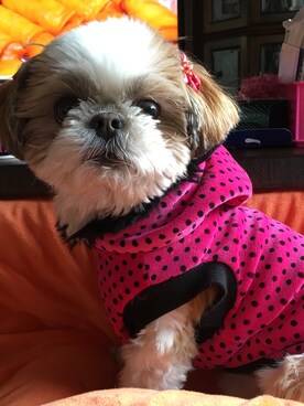 まあや💕さんのコーディネート