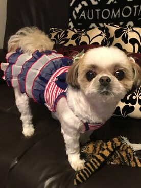 まあや💕さんのコーディネート