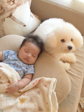 めいこさんのコーディネート