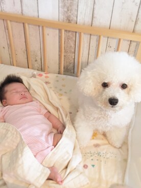 めいこさんのコーディネート