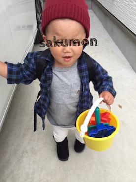 「babyGAP（babyGAP）のアイテム（トップス、グレー系）」を使った、sakumonさん（キッズ・90cm）の秋コーディネート