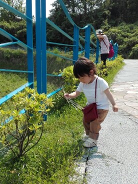 misyuuさんのコーディネート