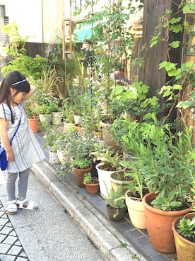 mikuuuuhmさんのコーディネート