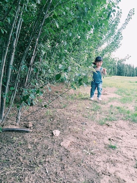 会飞的机械男孩さんのコーディネート