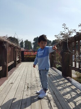 シューさんのコーディネート