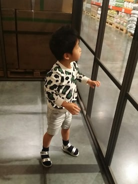 シューさんのコーディネート