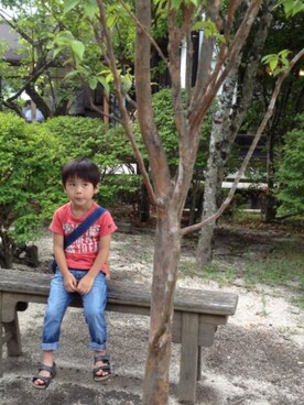 さくらさんのコーディネート