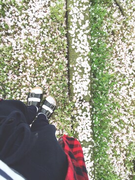 iさんのコーディネート