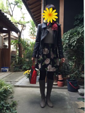 ヤマトナデシコさんのコーディネート