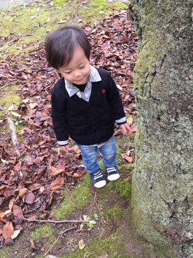 きらきらきらきらさんのコーディネート