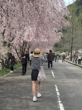 mizukiさんのコーディネート