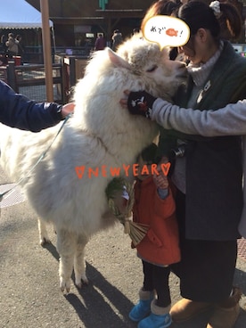 ましみさんのコーディネート