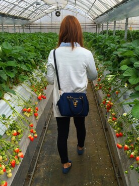 トモさんのコーディネート