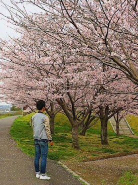 トモさんのコーディネート
