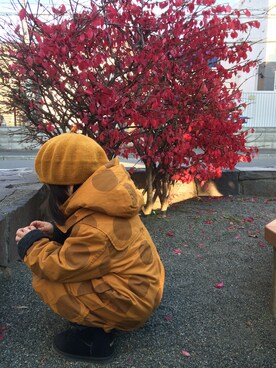 ぺこさんのコーディネート