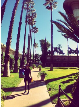 「黒ニット」｜Chisatoさん（レディース・159cm）の冬コーディネート