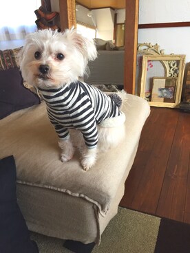 pie。さんのコーディネート