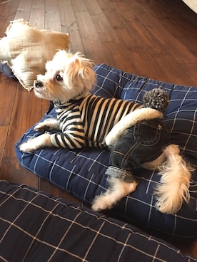 pie。さんのコーディネート