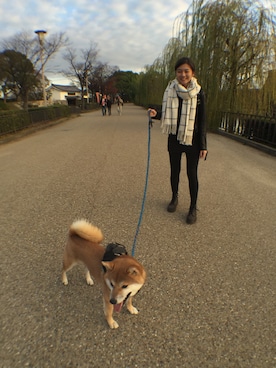 tesschanさんのコーディネート