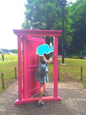 Harukaさん(レディース・151cm)の夏コーディネート